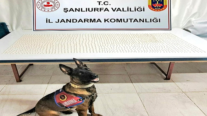 Şanlıurfa'da Binlerce Uyuşturucu Hapla Ele Geçirildi!